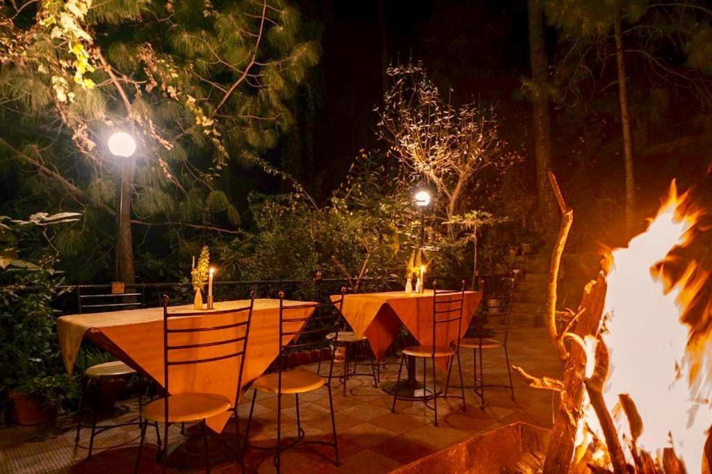 Nature View Resort !! A Four Star Lavish & Luxury Resort Chail Buitenkant foto