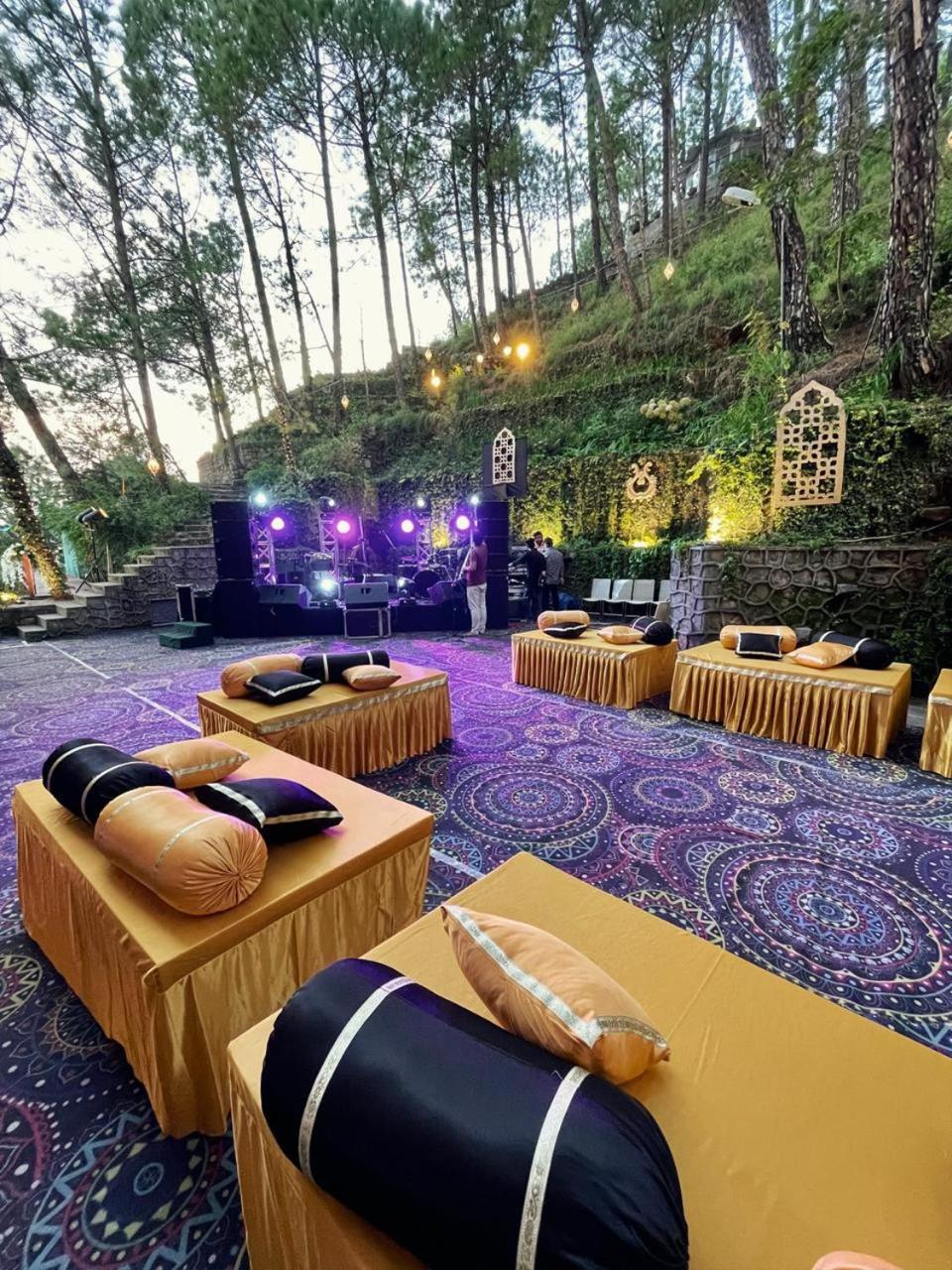 Nature View Resort !! A Four Star Lavish & Luxury Resort Chail Buitenkant foto